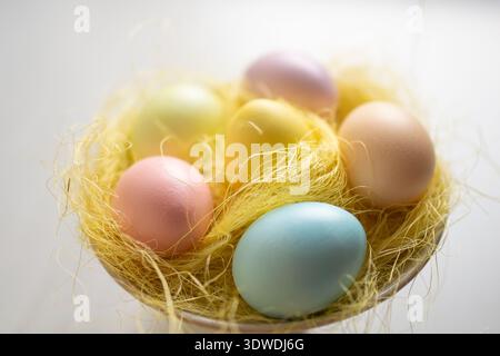 Beautiful Easter still life painted eggs Stock Photo