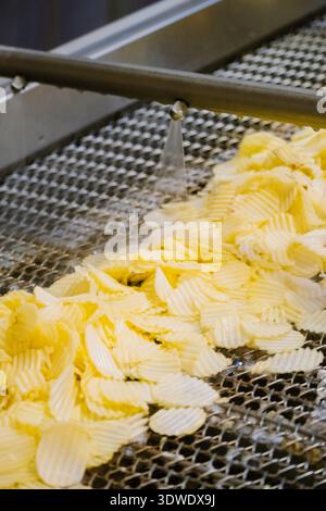 Freshly sliced potato chips move along a conveyor belt in a factory setting, highlighting the industrial process of snack production and the efficienc Stock Photo
