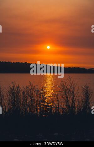 A serene sunset casts a warm orange glow over the calm waters of a lake in Galicia, Spain. Silhouetted trees and bushes enhance the peaceful evening a Stock Photo