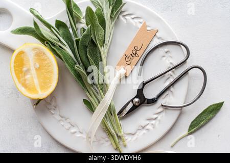 Fresh sage herb alongside antique scissors and a halved lemon on a decorative white plate. Perfect for culinary or herbal use, showcasing a rustic and Stock Photo