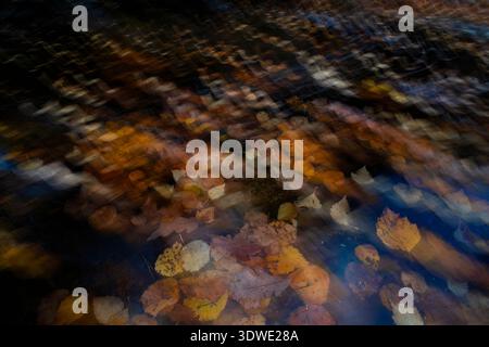 Artistic image showcasing the abstract motion blur of colorful autumn leaves gently floating on a water surface, creating a dynamic and vibrant season Stock Photo