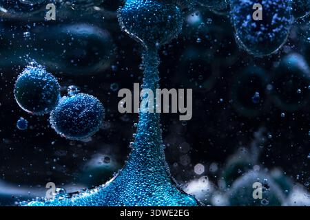 An original artistic composition showcasing blue bubbles suspended in a liquid, creating a captivating abstract visual. The scene is rich with color a Stock Photo