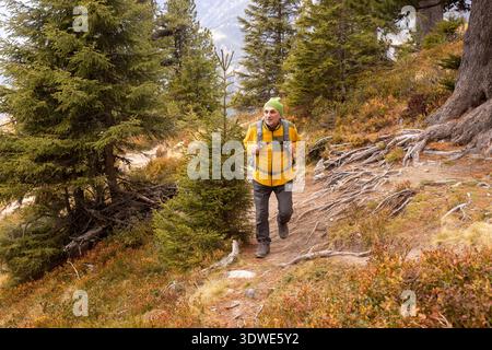 A hiker explores a scenic alpine trail during autumn, surrounded by vibrant foliage and towering evergreens. The crisp air and serene landscape offer Stock Photo