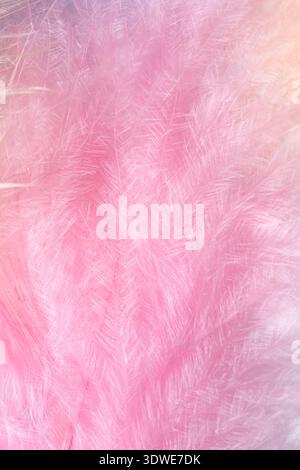 A close-up image of soft pink feathers creating a gentle and dreamy background. Ideal for decorative purposes, adding a touch of elegance and subtlety Stock Photo