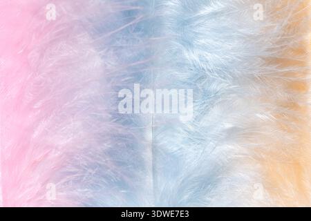 Delicately soft feather texture in pastel shades of pink, blue, and peach creates a gentle and soothing background perfect for design and decoration p Stock Photo