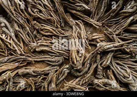 A collection of dried herbal roots spread over a traditional woven bamboo mat, showcasing natural textures and earthy tones, commonly used in Asian tr Stock Photo