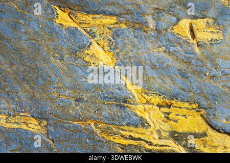 Close up image of a multicolor sea rock showcasing vibrant patterns of yellow and blue. The natural texture and intricate lines highlight the unique g Stock Photo