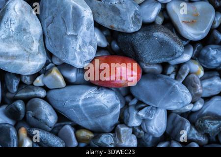 A collection of smooth, rounded pebbles with varying shades of gray, featuring a standout red stone, showcasing natural geological patterns and textur Stock Photo