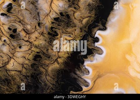 Abstract acrylic painting with swirling patterns in gold, black, and white. The fluid movement creates a mesmerizing background with a luxurious and d Stock Photo