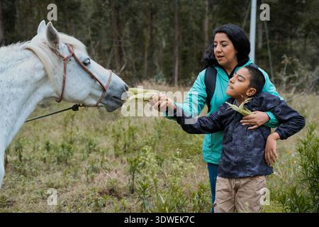 Latin american mother and her son joyfully feeding a white horse corn leaves in a lush forest, enjoying an inclusive tourism experience that fosters c Stock Photo
