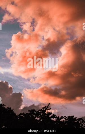 Captivating image of dramatic clouds at sunset, with vibrant orange hues contrasted against a deep blue sky, casting shadows over silhouetted tree top Stock Photo