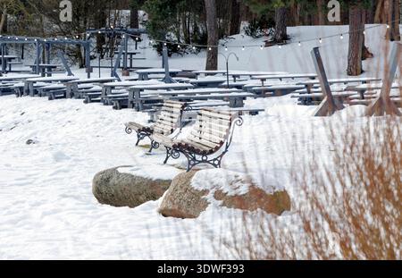 Empty wooden benches covered with fresh white snow in a quiet winter ...