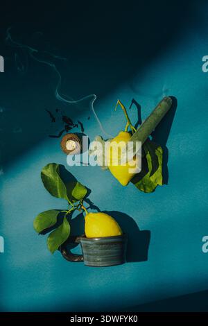 A vibrant, creative still life featuring a lemon with leaves on a bright blue background. The arrangement reflects a modern art concept, blending simp Stock Photo