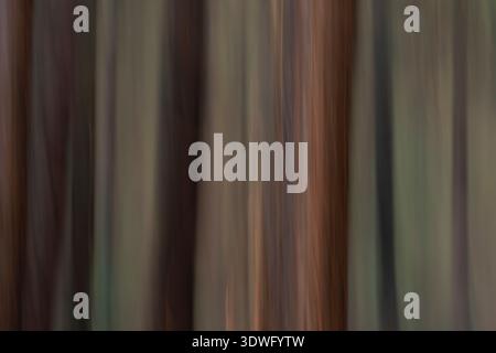 A captivating abstract image showcasing blurred vertical lines resembling tree trunks in a forest. The motion blur creates a serene and mysterious woo Stock Photo