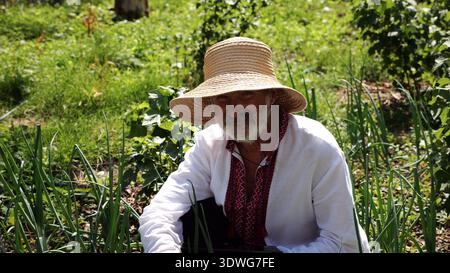 Portrait of senior smiling male wearing an embroidered shirt outdoor. Older man in traditional vyshyvanka using digital tablet on summer garden Stock Photo