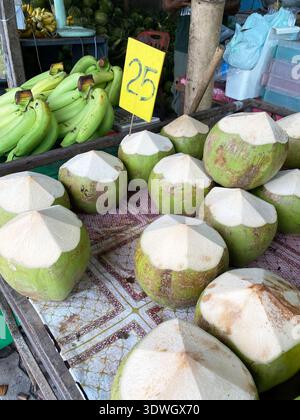 Green coconuts with cut tops are arranged on a market table, featuring a price sign and a bunch of bananas visible in the background Stock Photo