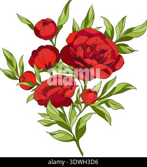 bouquet of bright red peonies, flowers with leaves and buds. Vector illustration Stock Vector