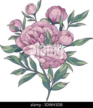 Bouquet of pink peonies. Line drawing flowers and leaves. Colored elements isolated. vector Stock Vector