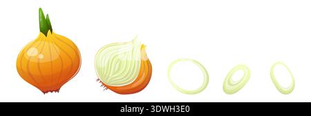Vector fresh onion and sliced into rings Stock Vector