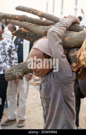 A man carrying large firewood logs on his shoulder in a busy street of Varanasi, India. Stock Photo