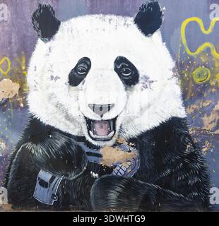 Cordoba Argentina December 17 This mural representing a panda playing is located in Southern Cordoba. Shoot on December 17, 2019, Cordoba, Argentina Stock Photo
