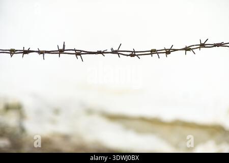 Rusty barbed wire, old wall whitewashed on lime on the background, space for text Stock Photo