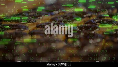 Showing glossy roasted coffee beans shining with oil in macro close-up, featuring green binary bars Stock Photo