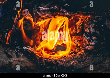 Burning wood fire close-up with glowing flames and charcoal embers Stock Photo