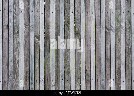 Wooden fence from thin planks, fixed by nails and screws, many knots, cracks, scratches, chips and slits on junction, natural colors, design backgroun Stock Photo