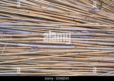 Light brown horizontal rustic thatcher background Stock Photo