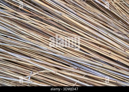 Light brown horizontal rustic thatcher background Stock Photo