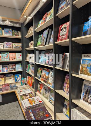 Pforzheim Germany Februar 25, 2026 Librarystyle Shelves Lined With Books And Travel Guides, Varied Spine Stock Photo
