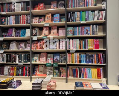 Pforzheim Germany Februar 25, 2026 Wall Of Colorful Childrens Books Arranged By Spine And Theme, Playful Stock Photo