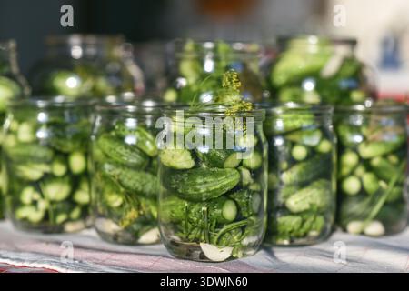 The process of preparation of salty cucumbers for canning Stock Photo