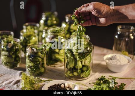 The process of preparation of salty cucumbers for canning Stock Photo