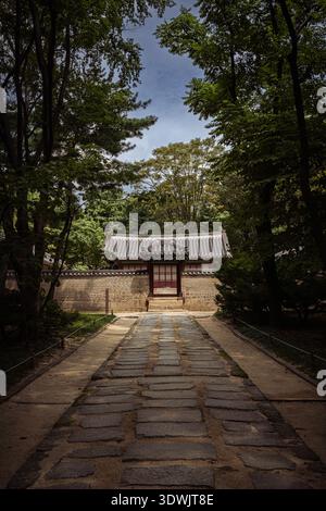 Stone pathway leading through trees toward a small gate in a quiet garden setting. Stock Photo