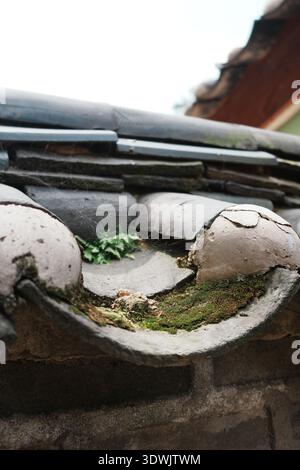 Aged traditional roof tiles with moss and worn ceramic texture, shown in a close-up architectural detail. Stock Photo