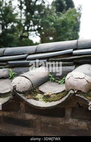 Traditional tiled roof detail with moss and weathered ceramic surfaces, framed against soft greenery in the background. Stock Photo