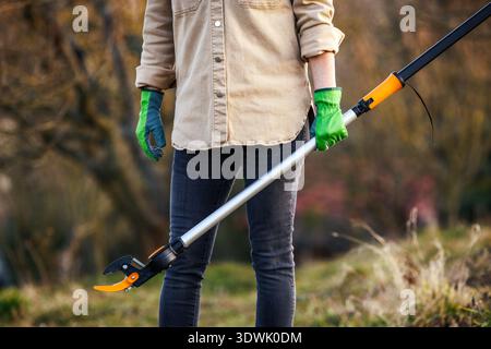 Farmer carrying long pruning shears for trimming trees in orchard. Tree pruner gardening tool Stock Photo