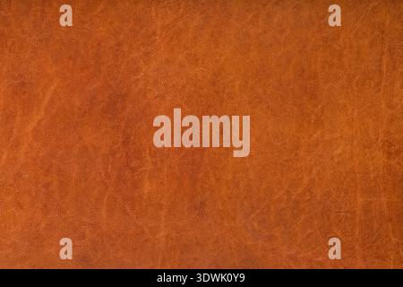 Textured leather background, orangeish medium brown Stock Photo