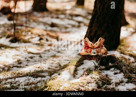 Chocolate Easter bunnies in a spring forest Stock Photo
