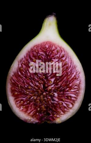 Extreme close-up of a single halved fig with vivid crimson and burgundy pulp featuring intricate fibrous texture and visible seeds on black background Stock Photo