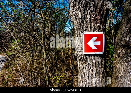 red sign with white arrow indicating the direction to the left attached to a tree in the woods in Valsanzibio Padova Veneto Italy Stock Photo