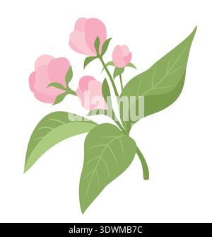 Spring flowers. Cherry tree blossom with green leaves on white background Stock Vector