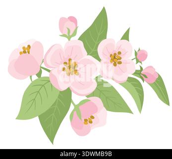 Spring Apple Tree Flowers with Buds and Leaves Stock Vector