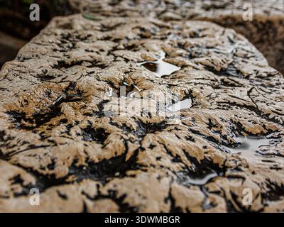 texture of a marble handrail located in Monte Carlo Stock Photo