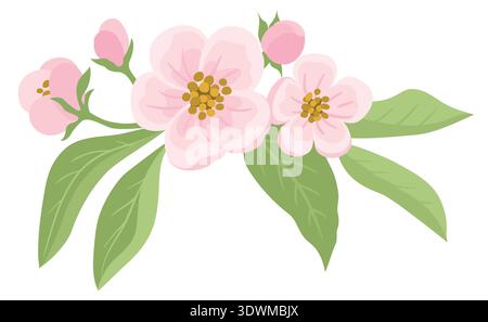 Spring flowers. Apple tree blossom with green leaves on white background Stock Vector