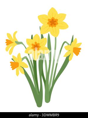 Spring garden flowers, daffodil with green leaves. Spring plants vector illustration Stock Vector