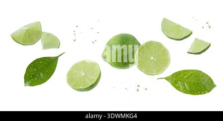 Fresh lime fruit whole and slices with leaves falling flying isolated on white background. Fruits banner. Stock Photo