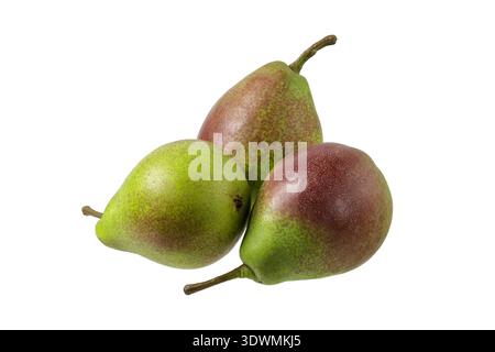 Three whole fresh green red pear fruits QTee isolated on white background. Healthy fruit. Stock Photo